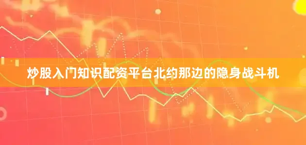 炒股入门知识配资平台北约那边的隐身战斗机