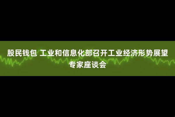 股民钱包 工业和信息化部召开工业经济形势展望专家座谈会