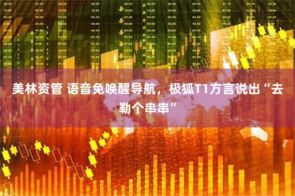 美林资管 语音免唤醒导航，极狐T1方言说出“去勒个串串”
